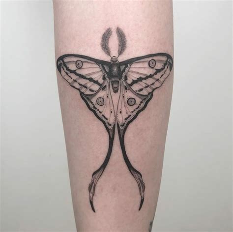 black luna moth tattoo|100 Luna Moth Tattoos: Meaning, Designs and Styles